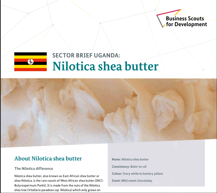Shea Butter research from GIZ in Uganda